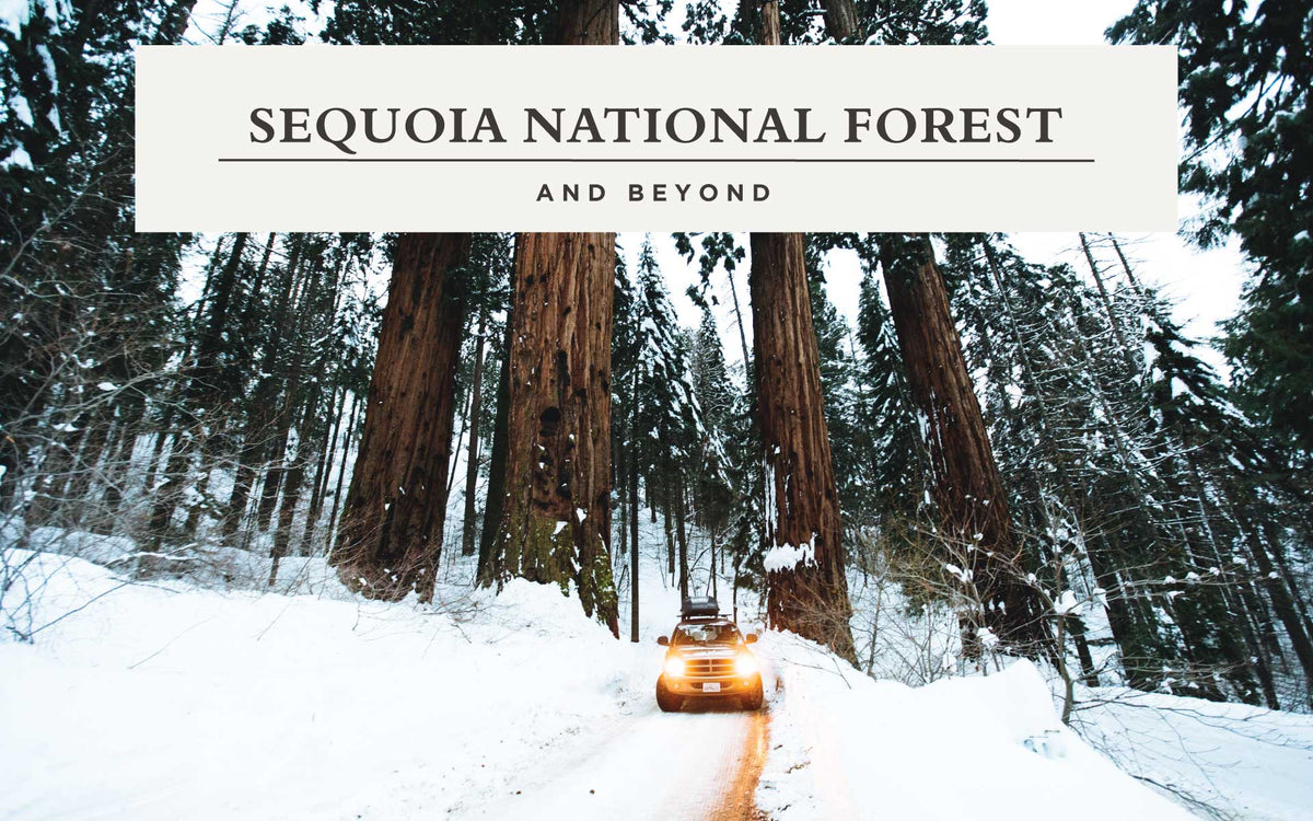 Sequoia National Park and Beyond