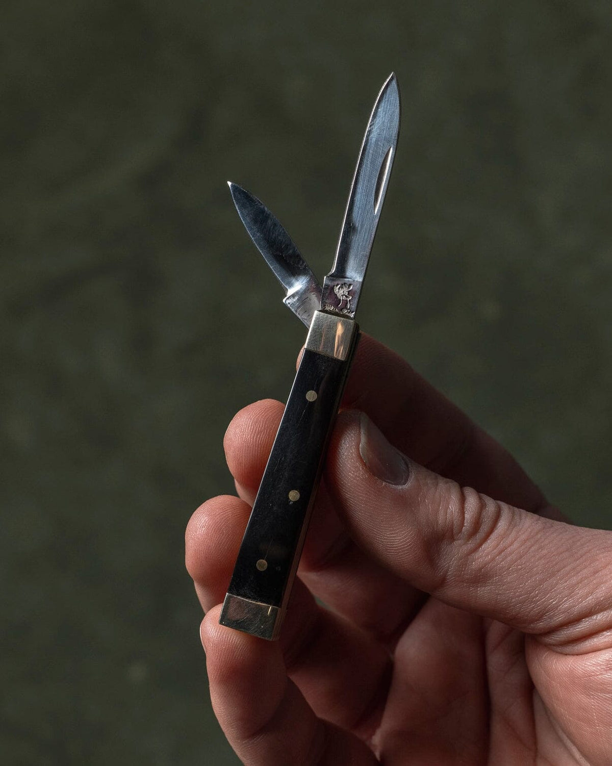Mini Doctor's Knife Bradley Mountain 