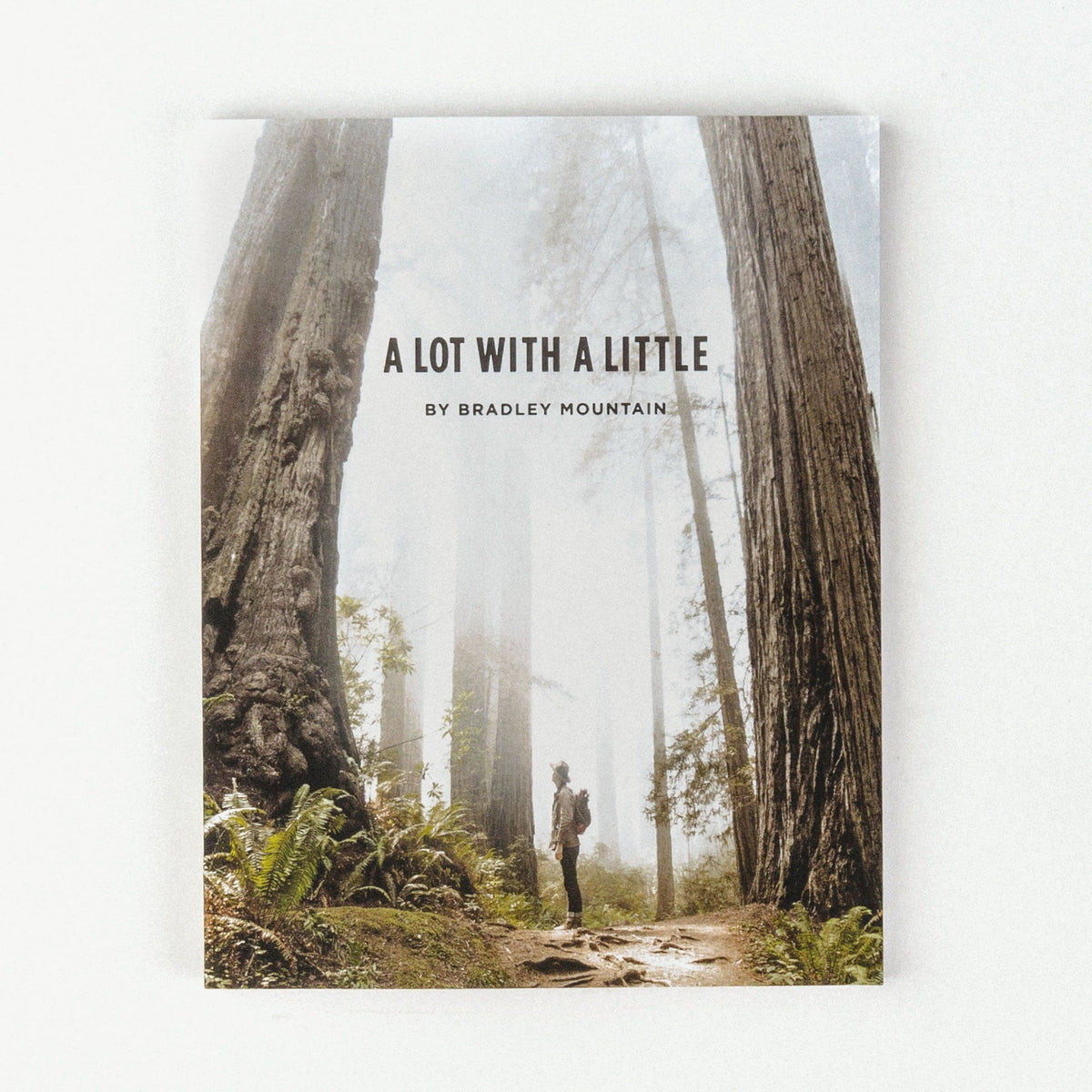 A Lot With A Little - Book Bradley Mountain 